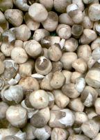 PREMIUM STRAW MUSHROOMS / VEGAN FRIENDLY / NO