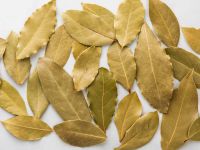 BAY LEAVES FOR COOKING / NATURAL DRYING