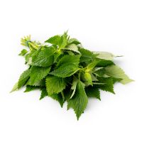 PERILLA LEAF POWDER / CLEAN LABEL / PLANT