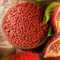 CULINARY GRADE ANNATTO / WHOLE SEEDS / NON