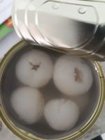 PREMIUM CANNED LYCHEE / NATURAL SWEETNESS / ADDITIVE