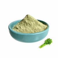 COLD-DRIED CELERY / GUT SUPPORT / PURE