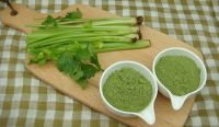 GREEN CELERY CONCENTRATE / HYDRATION AID / CLEAN
