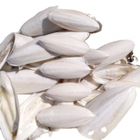 WILD HARVESTED CUTTLEBONE / MINERAL SUPPORT / ZERO