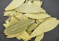 NATURAL DRIED BAY LEAVES / PLANT ORIGIN