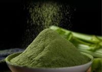 CLEAN LABEL CELERY LEAF POWDER / PLANT