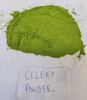 NATURAL CELERY POWDER / PURELY GROUND / FOOD