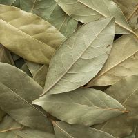 DRIED BAY LEAVES / CLEAN LABEL / PLANT