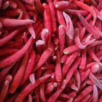 FREEZE-DRIED CHILI / METABOLIC SUPPORT / 100