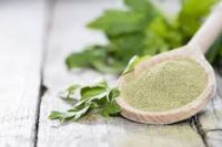 GREEN CELERY POWDER / NON-GMO / CLEANLY