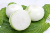 FRESH-FROZEN ONION / IMMUNITY BOOSTER / CLEAN
