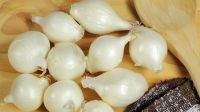 ORGANIC FROZEN ONION / HEALTHY KITCHEN ESSENTIAL
