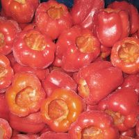 FREEZE-LOCKED BELL PEPPER / IMMUNITY BOOST