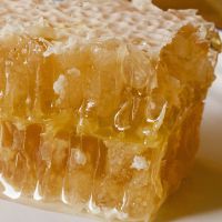 RAW HONEYCOMB / CLEAN LABEL / NATURAL BEE