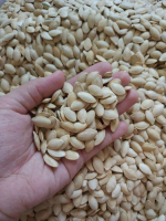 NUTRIENT-RICH PUMPKIN SEEDS / MINERAL BOOST