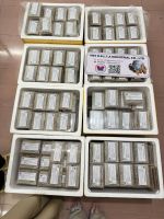 WILD HARVESTED HONEYCOMB / NON-GMO / NO