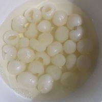 ALL-NATURAL CANNED LONGAN / DAILY WELLNESS