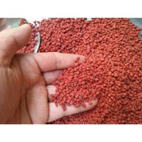 HERBAL ANNATTO SEEDS / PLANT COLOR / NATURAL