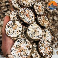 CLEAN LABEL BANANA SLICES / NATURAL DRIED