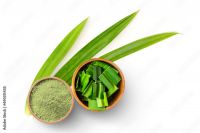 WHOLESOME PANDAN POWDER / IMMUNITY SUPPORT / CLEAN