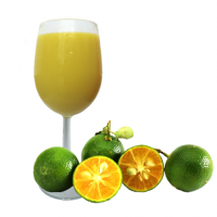 WHOLE FRUIT CALAMANSI PUREE / IMMUNE SUPPORT