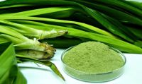 RAW PANDAN LEAF POWDER / CLEAN LABEL