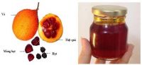 HEALTHY GAC OIL / HEART SUPPORT / RICH