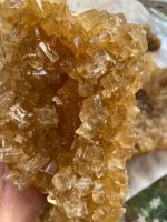 CANE-DERIVED SACCHAROSE / CLEAN LABEL / NATURAL