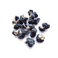 WILD BLACK GOJI BERRIES / CLEAN LABEL