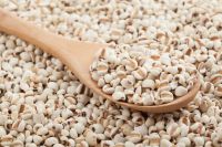 ORGANIC COIX SEED / CLEAN LABEL / WELLNESS