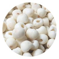 IQF FROZEN LYCHEE / CLEAN FRUIT / PLANT