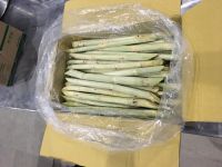 VIETNAMESE FROZEN SUGARCANE / FOOD GRADE / CLEAN