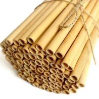 ECO-FRIENDLY BAMBOO DRINKING STRAWS / CLEANLY