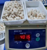 VIETNAMESE CANNED CRAB MEAT / NON-GMO