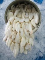 VIETNAM PREMIUM CRAB LUMP MEAT / NATURAL