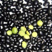 CLEAN LABEL BLACK BEANS WITH GREEN