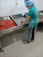 VIETNAM NATURAL FROZEN WATERMELON JUICE / RICH