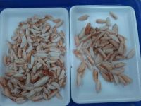 WILD-CAUGHT CRAB MEAT / CANNED SEAFOOD