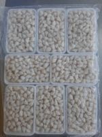 NATURAL CRAB MEAT IN CAN / NO