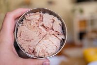 READY-TO-EAT TUNA / PLANT OIL