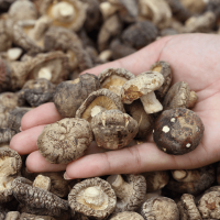 NATURAL SHIITAKE MUSHROOM / DEHYDRATED WHOLE / FOOD
