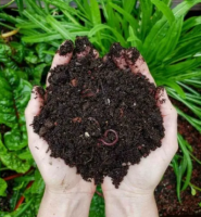 VERMICOMPOST FOR ORGANIC GROWING / PLANT ENRICHMENT