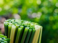 ECO STRAWS FROM NATURAL GRASS / CLEAN