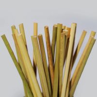 GRASS-BASED DRINKING STRAW / PLASTIC-FREE