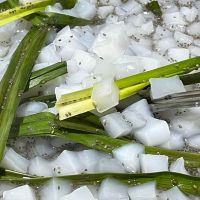 PREMIUM NATA DE COCO / PURELY PACKED