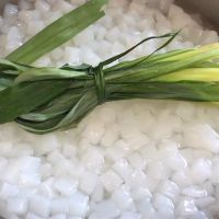 PURE NATA DE COCO / CLEAN LABEL