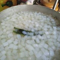 TENDER NATA DE COCO / FRUIT DESSERT