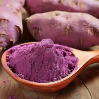 PREMIUM SWEET POTATO FLOUR / NON-GMO