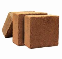 NATURAL COIR PITH SUBSTRATE / CHEMICAL-FREE