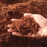 PREMIUM COIR PEAT / ORGANIC BASE / PLANT